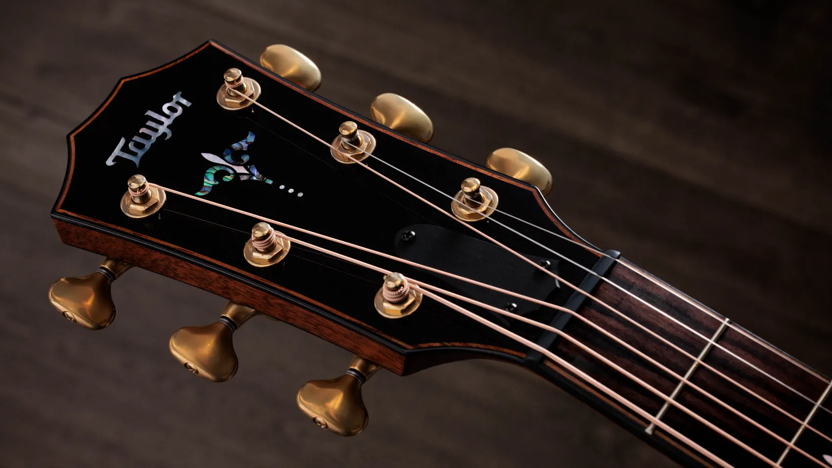 Builder's Edition 914ce LTD Macassar Ebony Macassar Ebony Acoustic